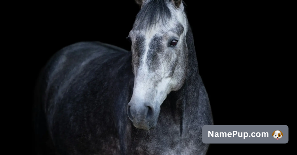 Best Grey Horse Names (1)