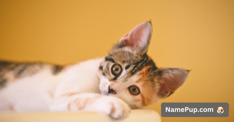 210 Best Disney Cat Names Everyone Will Love NamePup 210-best-disney-cat-names-everyone-will-love-namepup