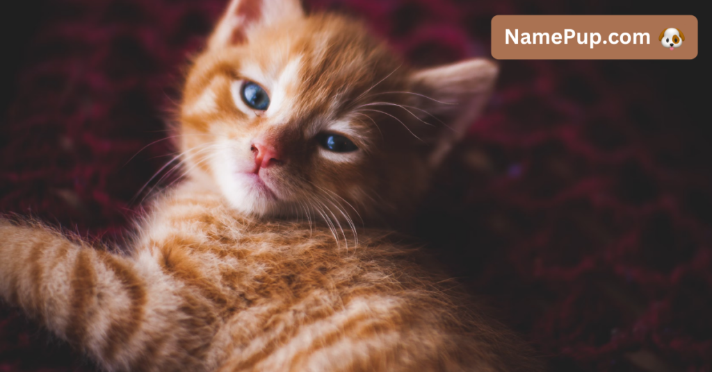 Egyptian Cat Names