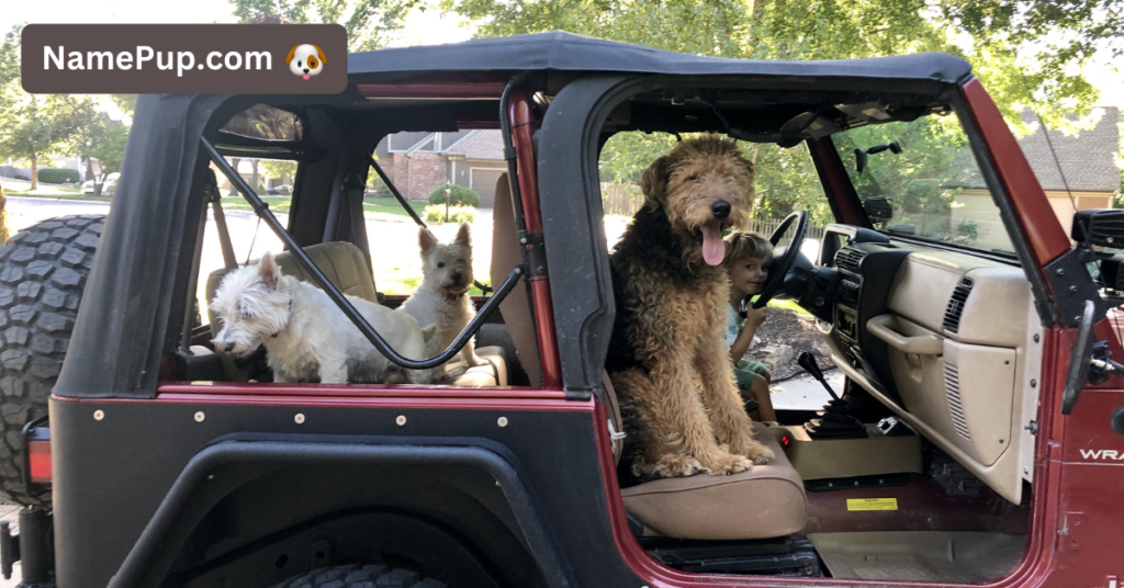 Jeep Dog Names (1)