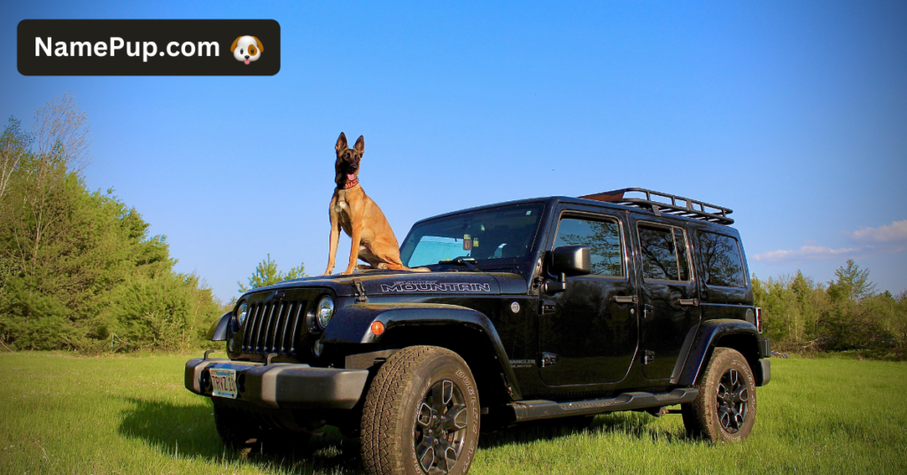 Jeep Dog Names (2)