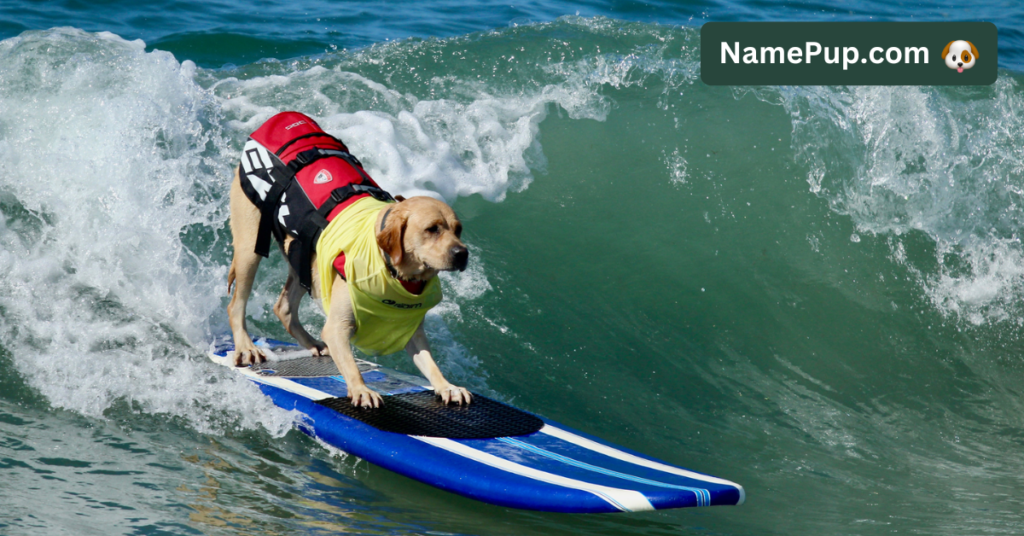 Surf Dog Names (2)