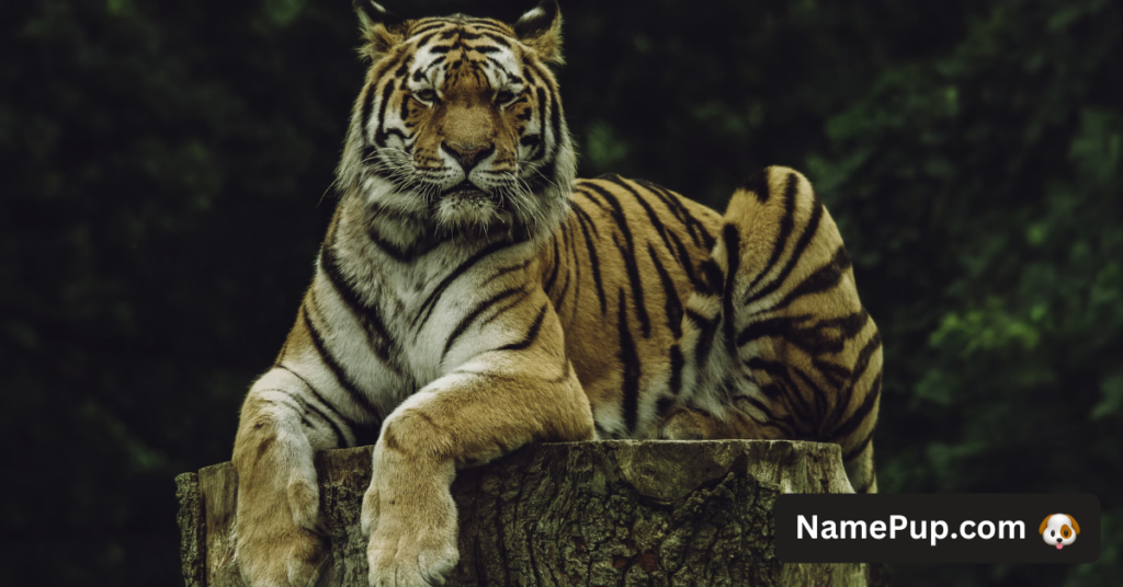 Tiger Names